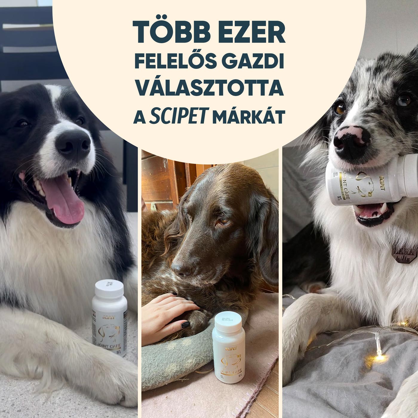 Több ezer gazdi választotta a SciPet márkát.