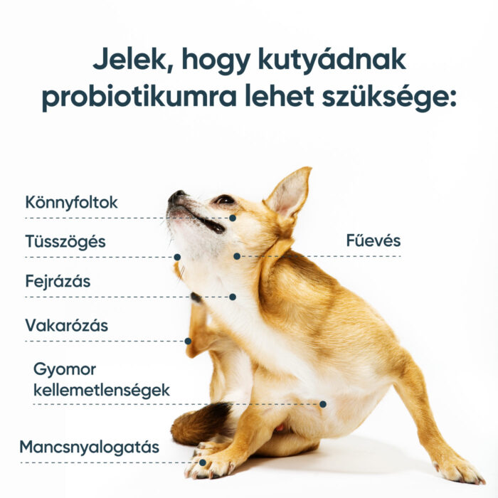 SciPet probiotikum kutyáknak - 4x60 db - Image 2